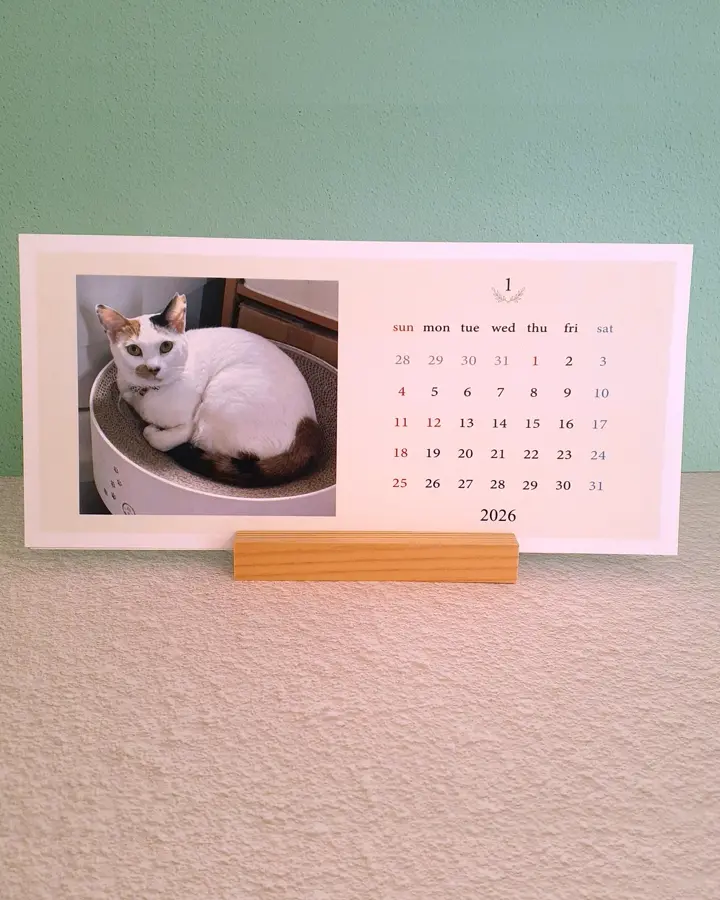 ねこかぞく ｜ 愛猫のオリジナルグッズが簡単に作れる