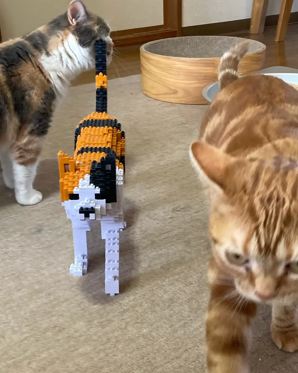 JEKCA EU - Cat 11S-M03 | Plastic Building Blocks for Kidults