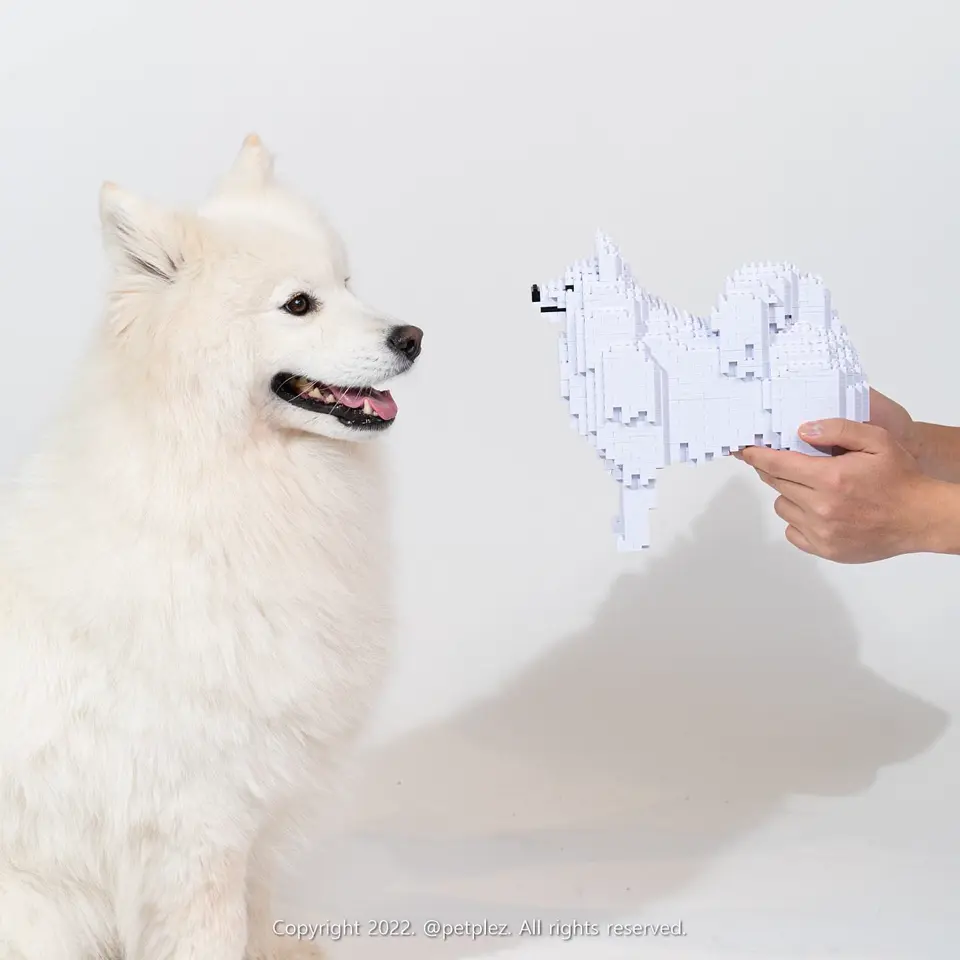 JEKCA EU - Samoyed 01S | Plastic Building Blocks for Kidults
