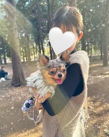 【美品】glamb グラム チェック ニット ポンチョコート 美品】glamb グラム チェック ニット ポンチョコート 美品