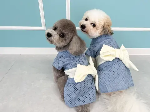 MINIME（ミニミー）｜ドッグウェアショップ