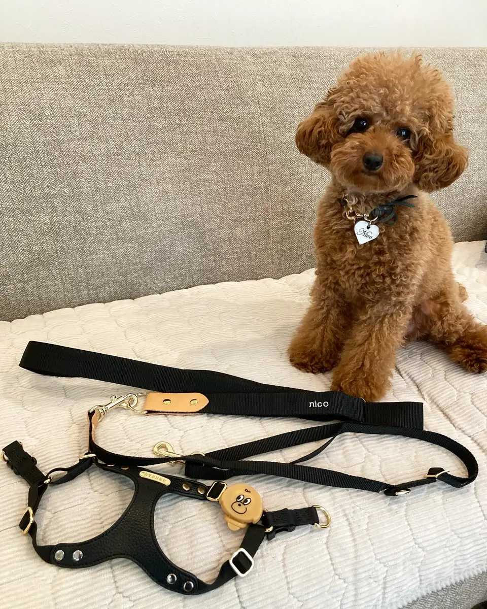 Leather Collar（全6色）