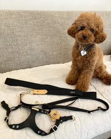 犬用ハーネス 負担が少ない 着脱簡単 革