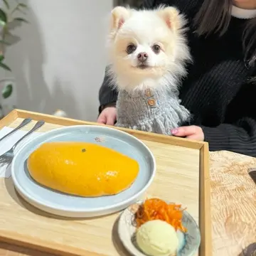 ポンチョニットコート（グレー）