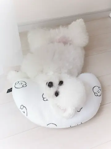 COOL MONGGU BED SQUARE｜JUMINE (MONG GU)