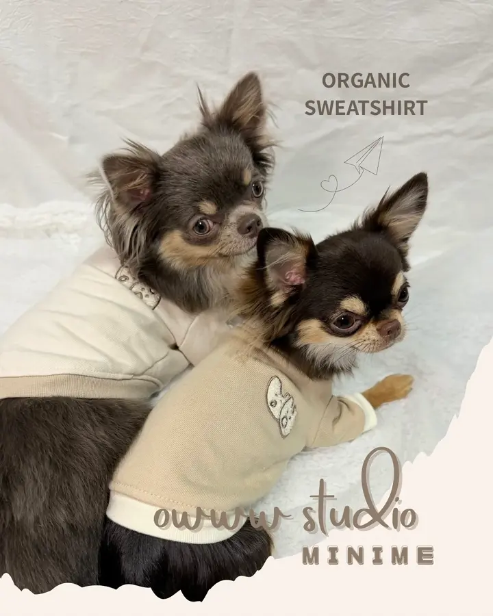 ファッション雑貨 mimime 犬の暑さ対策グッズ・クールアイテム特集｜COOL SUMMER COLLECTION