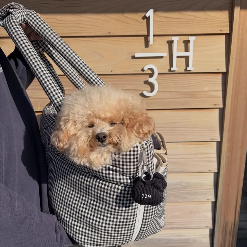 APERTY｜韓国発の犬用キャリーバッグ＆ペットウェアの正規取扱店 – MINIME