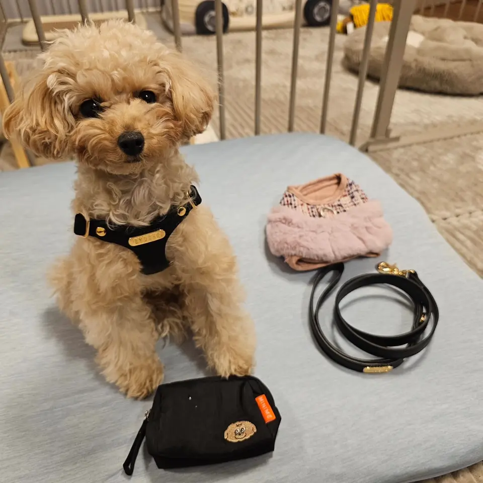 DELIGHT LEASH（クリーム）