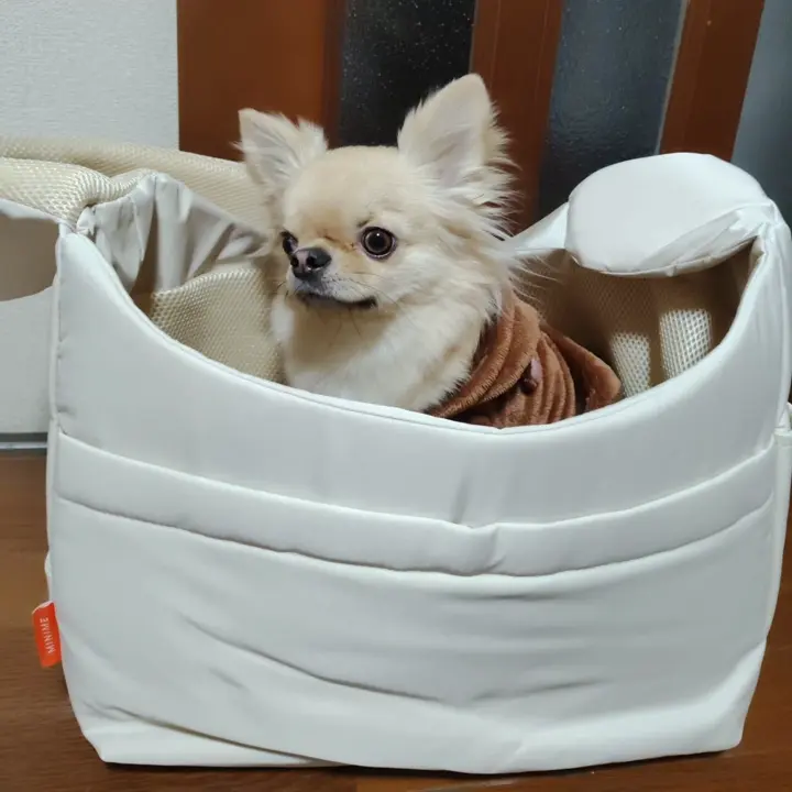 MINIME（ミニミー）｜韓国ドッグウェアのセレクトとオリジナルアイテム