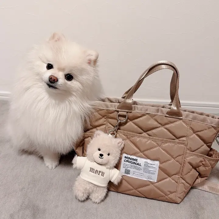 MINIME（ミニミー）｜韓国ドッグウェアのセレクトとオリジナルアイテム