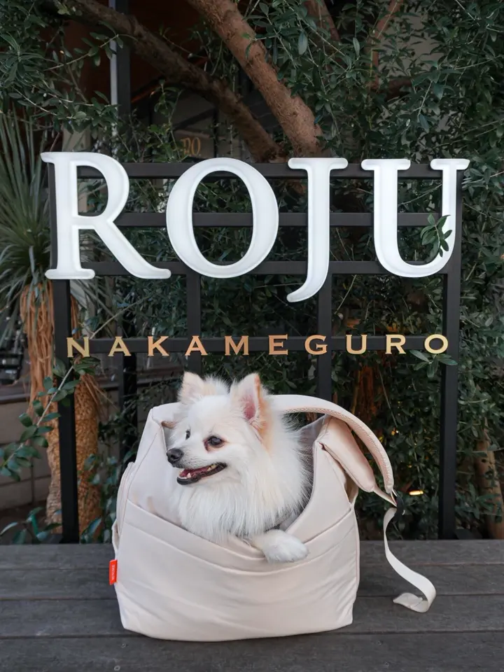 MINIME（ミニミー）｜韓国ドッグウェアのセレクトとオリジナルアイテム