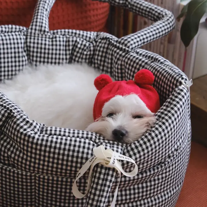 APERTY wide bag – yellow｜韓国発の犬用キャリーバッグ｜MINIME