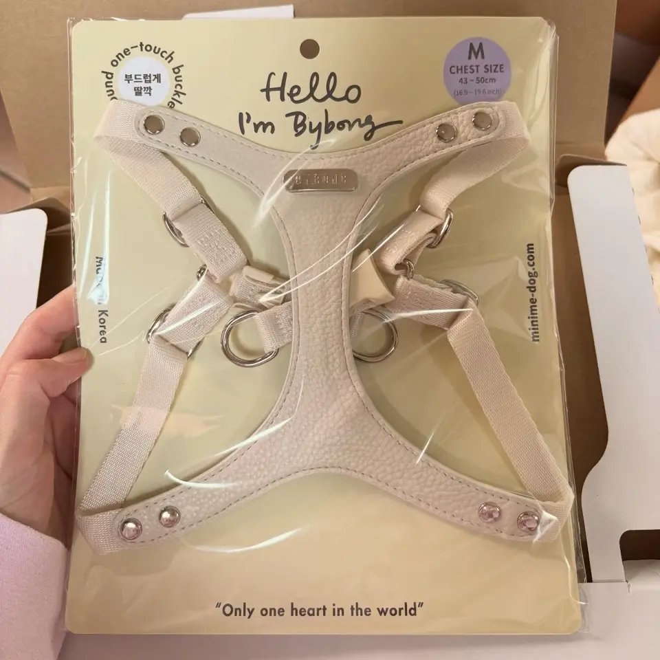 BYBONG】ハーネス・首輪・リード。まず揃えたい定番シリーズ「Delight