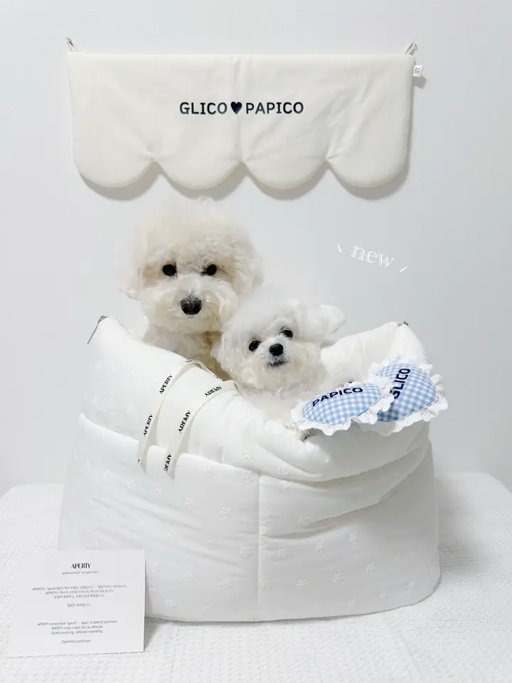 APERTY｜韓国発の犬用キャリーバッグ＆ペットウェアの正規取扱店 – MINIME