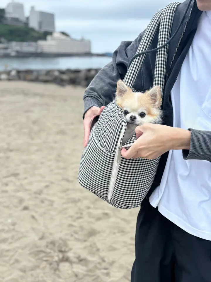 APERTY wide bag – silver｜韓国発の犬用キャリーバッグ｜MINIME