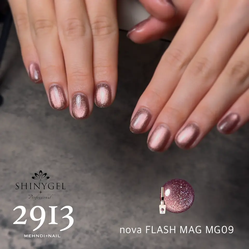 エラバイシャイニージェル フラッシュマグ MG09 5gカラージェル[UV/LED