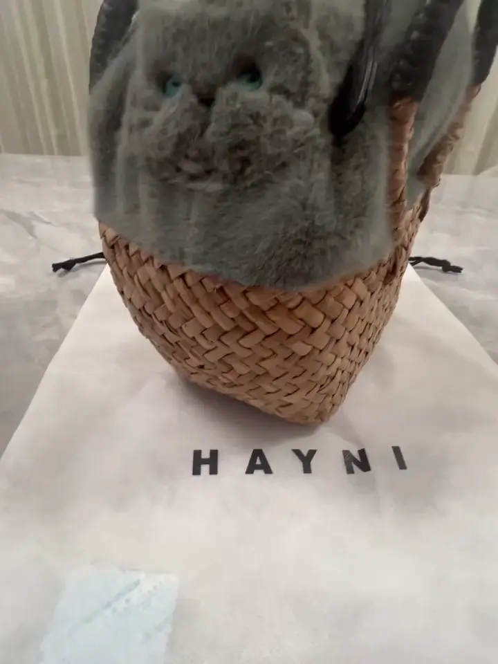 Minetpluche ミネットプリシュ｜「AIM医学研究支援プロジェクト」対象