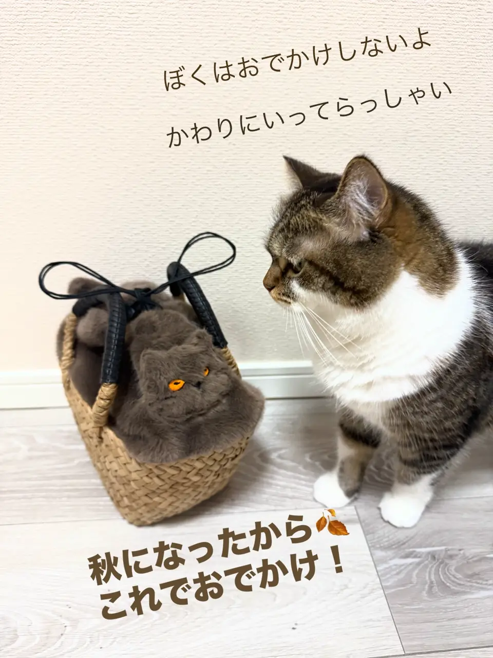 Minetpluche ミネットプリシュ｜「AIM医学研究支援プロジェクト」対象