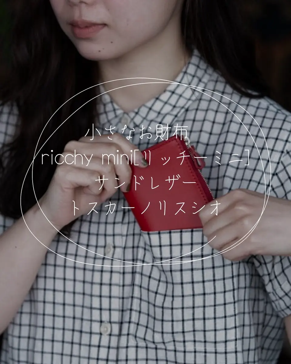【ピスタチオさん専用】KAWANISHI KABAN ricchy mini キャッシュレス財布 ミドルウオレット 中財布 カードケース感覚で