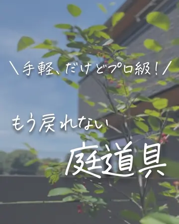 石 花器 fit=scale-down,w=1200