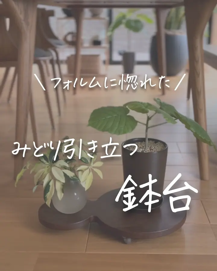 無垢材のキャスター付き プランターベース ウォルナット ダブル 通販