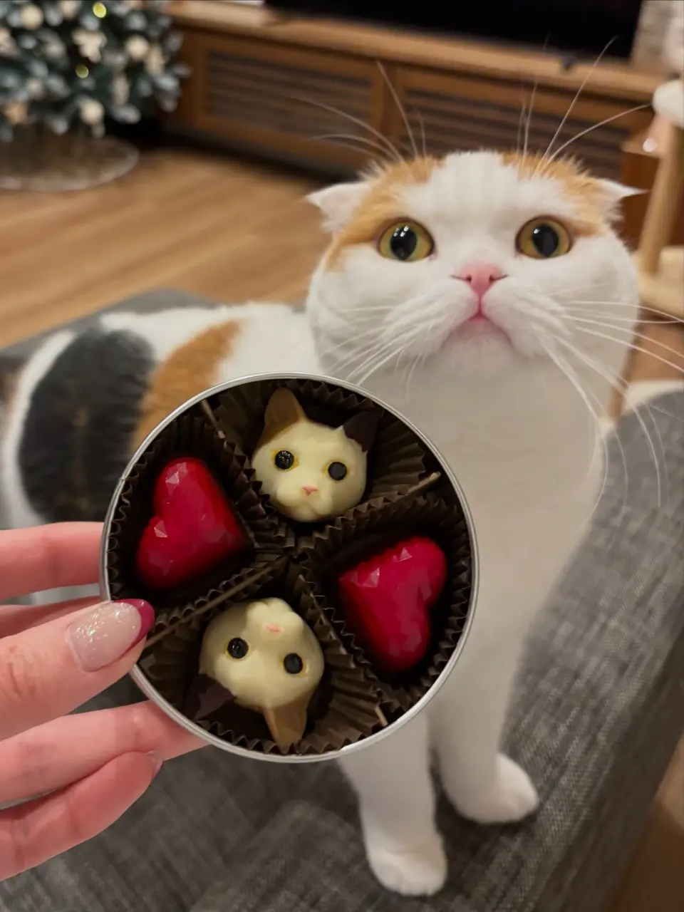 ディノスでしか買えない】「&chocolate」三毛猫＆ハート缶 各2粒 紙袋