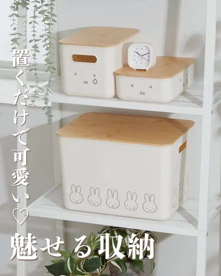 ミッフィー収納ケース - ベルーナ【公式】