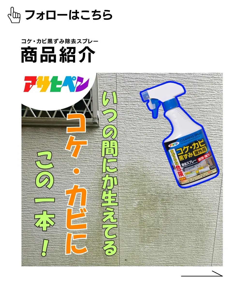 コケ・カビ・黒ずみ除去スプレー 800g | | ハウスケア用品,洗浄剤