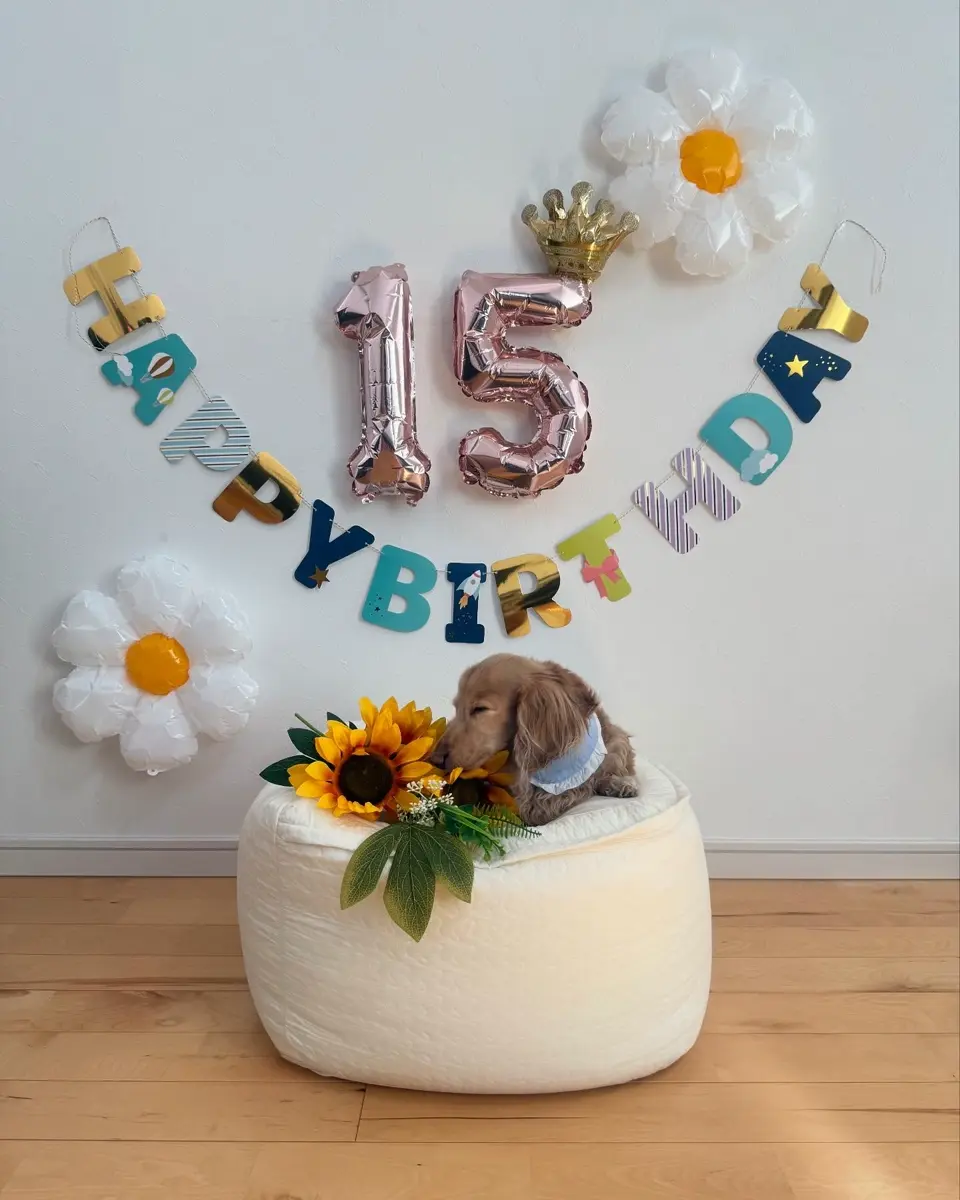 ガーランドフラッグ バースデーフォト【公式】≪1個からお届け≫Can