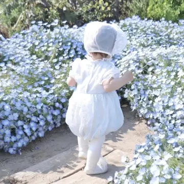 pllings レース編み半袖トップス ロンハーマン　未使用 pllings レース編み半袖トップス ロンハーマン 未使用 pllings レース