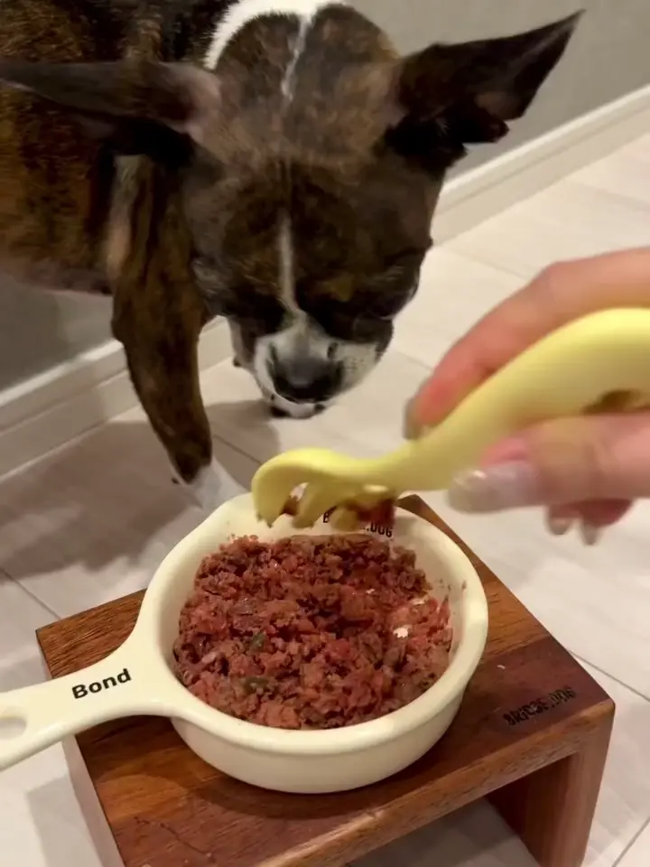 Buddy FOOD メニュー・原材料｜バディーフード – Buddy FOOD（バディ