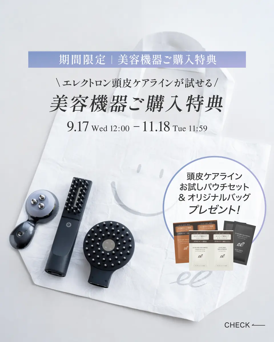 デンキバリブラシ(R) 2.0 +ボディ | ELECTRON ONLINE SHOP