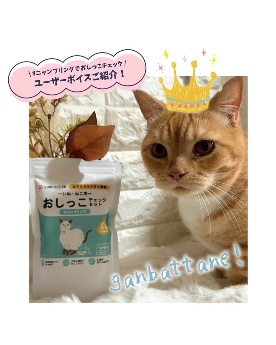 公式】nyanplingストア｜犬猫用おしっこチェックセット「ニャン 