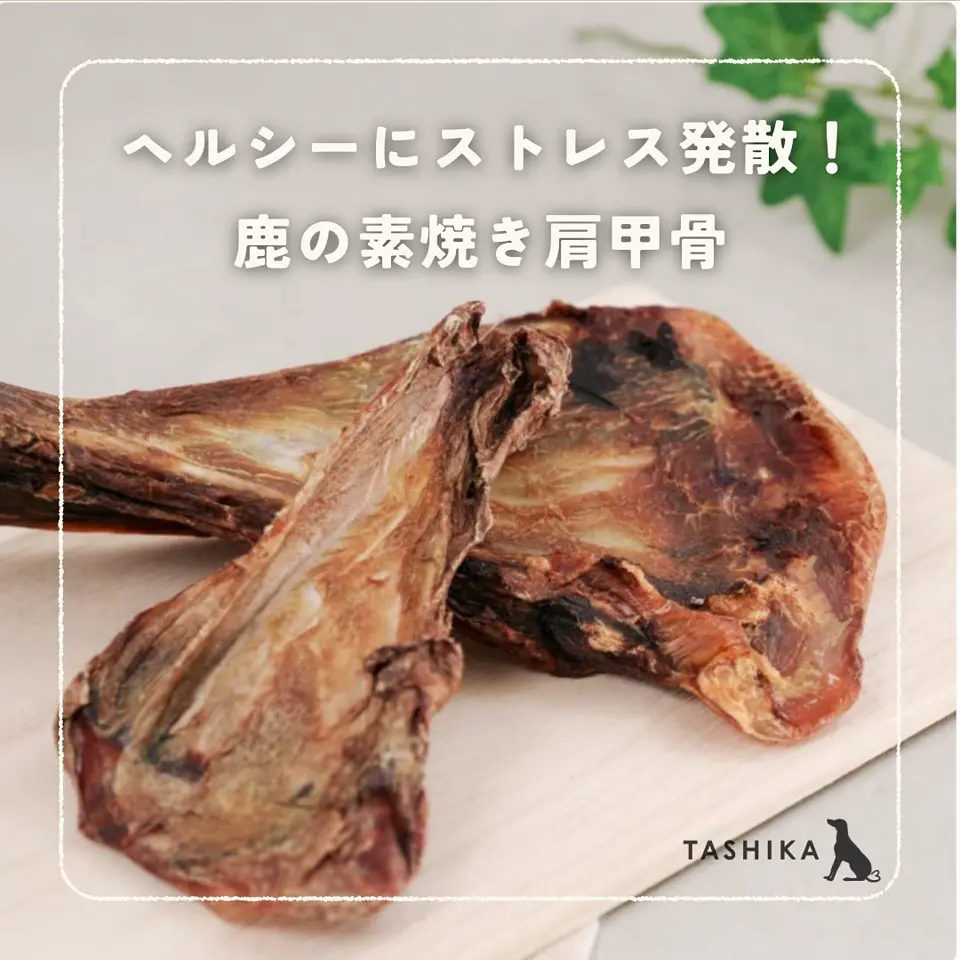 TASHIKA│多可町発の地域課題解決型ドッグフード