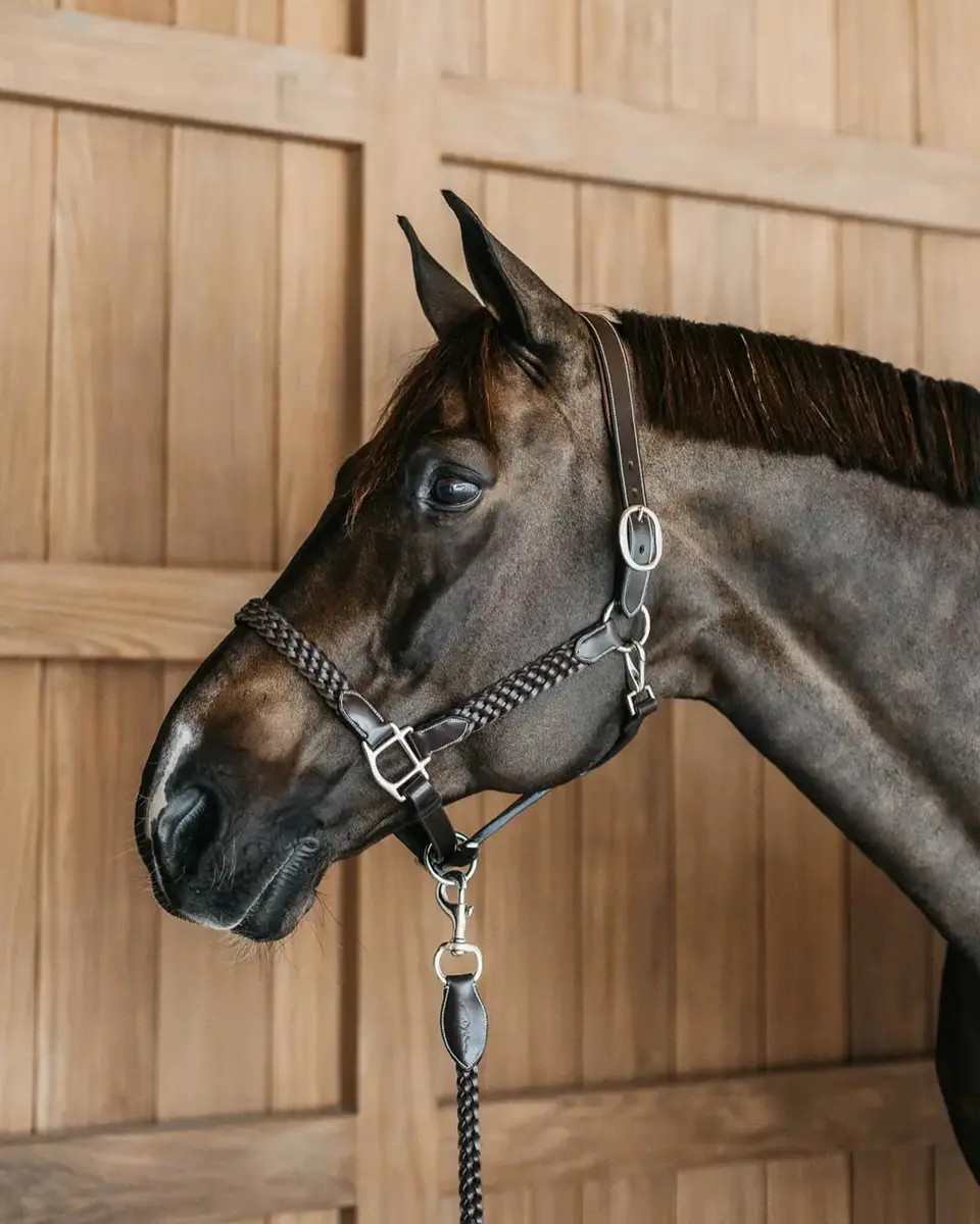 25⭐︎送料無料 KN社 馬場 切なく 鞍 馬 乗馬セット 黒
