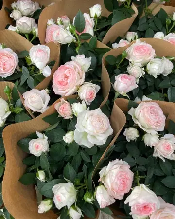 【専用ページ】ミニ薔薇 アクセサリー 4点