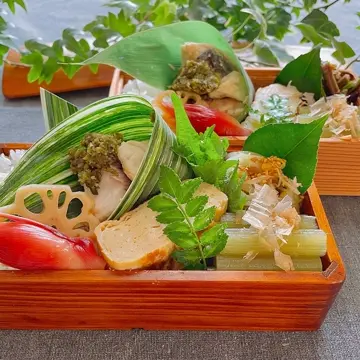 新潟直送計画】手摘み天然山菜・自然栽培山菜（ワラビ・フキ・赤コゴミ