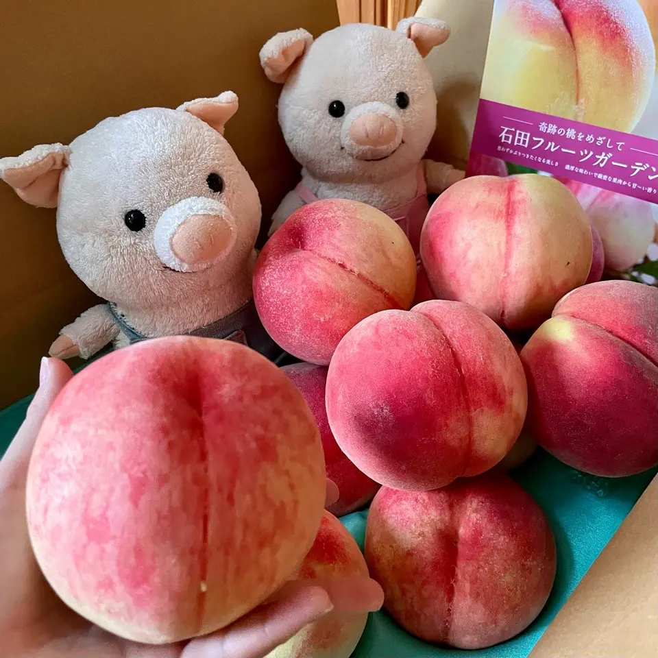 新潟直送計画】新潟県産 桃（贈答用・家庭用） – 石田フルーツガーデン