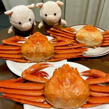 新潟直送計画】ゆで紅ズワイガニ（冷凍） – 日本海鮮魚センター