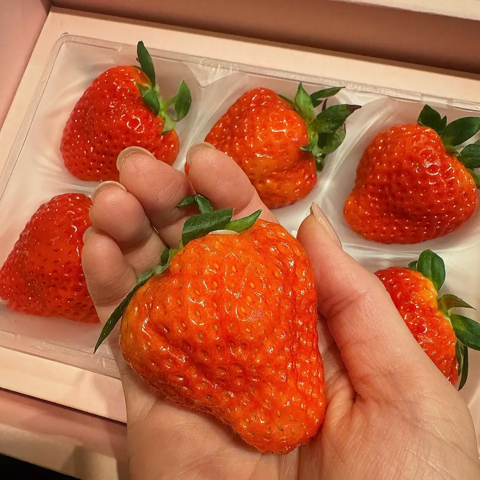 新潟直送計画】越後姫 – いちご想い