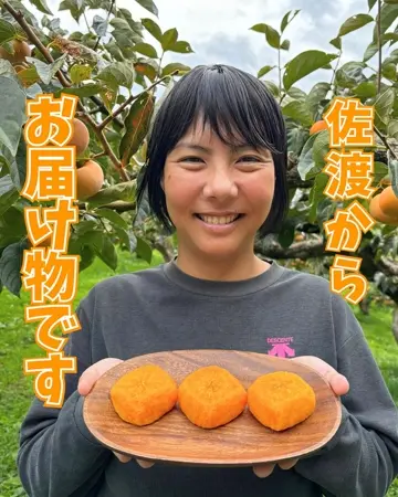 beni あんぽ柿50パック あんぽ柿（西条柿）180g×6パック – ネットスーパーV