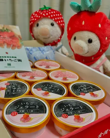 新潟直送計画】越後姫のジェラート・シャーベット – 斉藤いちご園