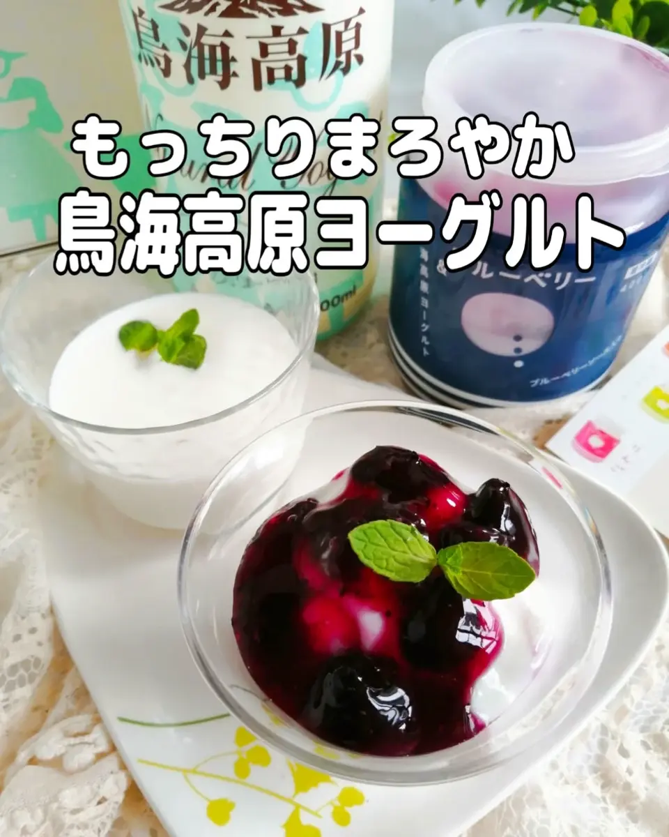 山形直送計画】鳥海高原のむヨーグルト - ヨーグルト工房鳥海