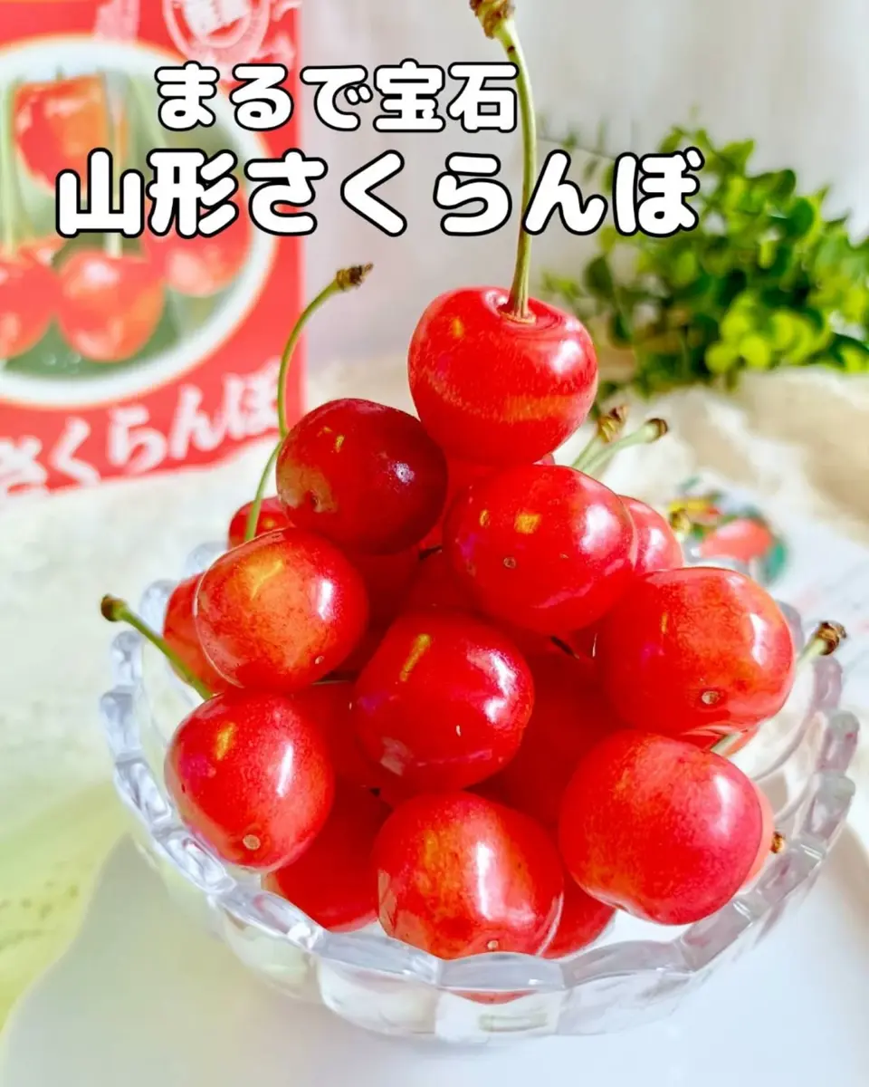 山形直送計画】山形県産さくらんぼ – さがえグリーンパーク
