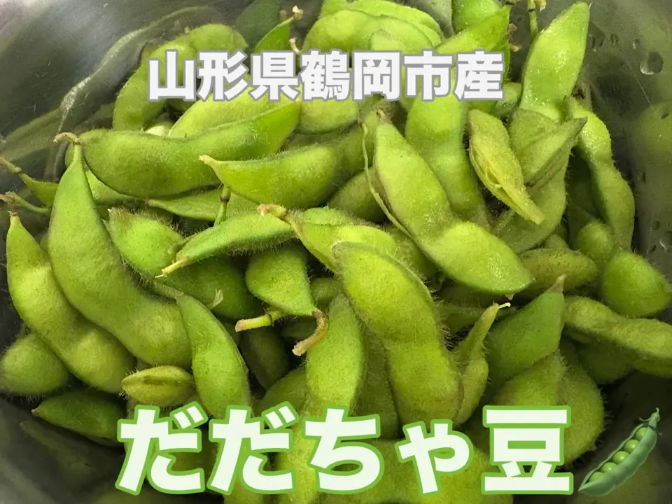 枝豆 山形直送計画】山形県産 枝豆 だだちゃ豆 – 有限会社馬町さくらファーム