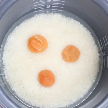 ご家庭用 梅そのまま 450gをお取り寄せ｜梅屋 公式オンラインショップ