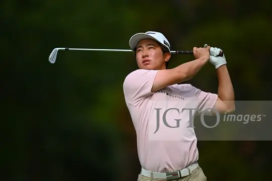 30％OFF】[トミー ヒルフィガー ゴルフ]メンズ リーフジャガード 半袖