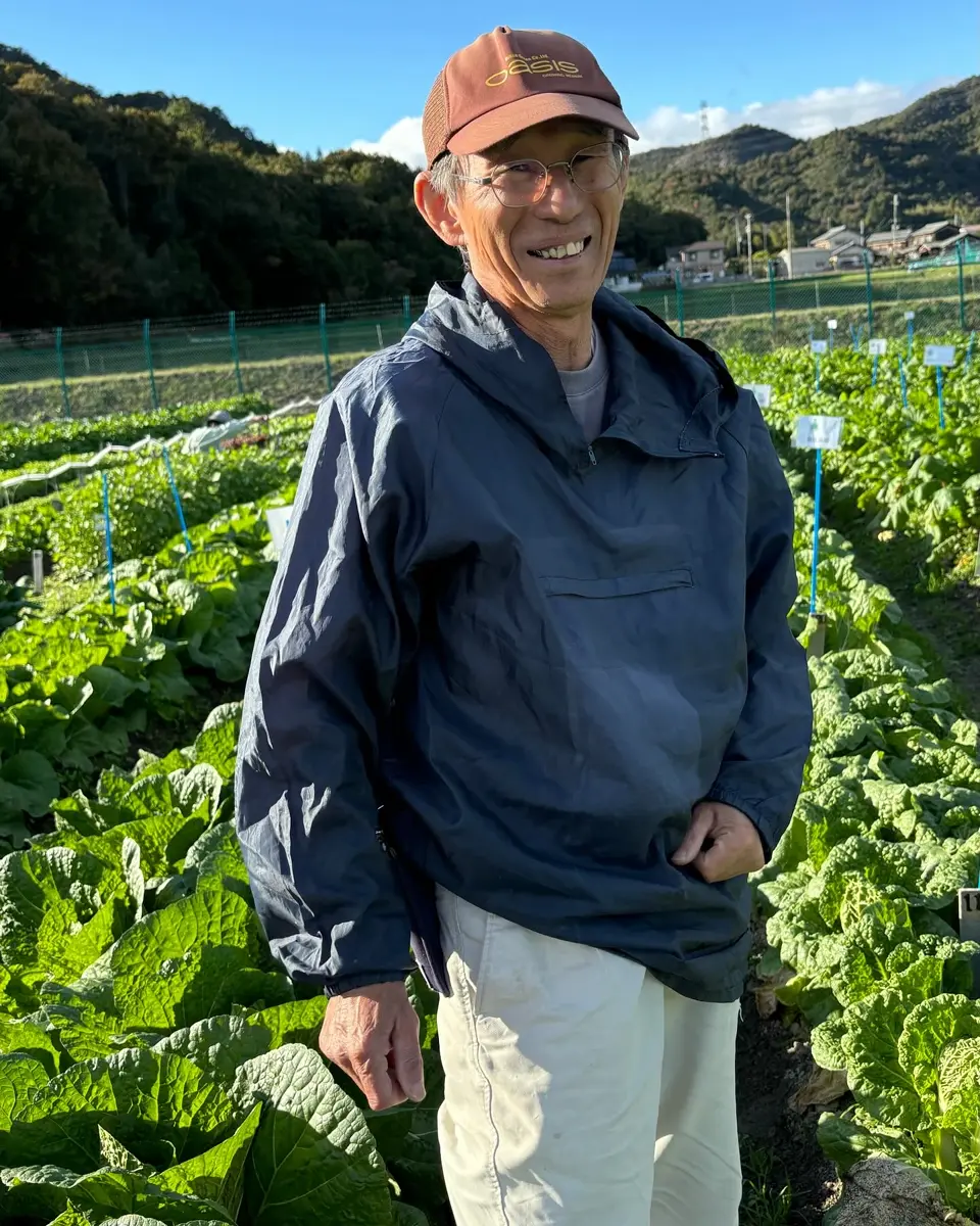 小林種苗 コールラビ種子 マツコEX ＊種子有効期限2026年5月末 | 小林