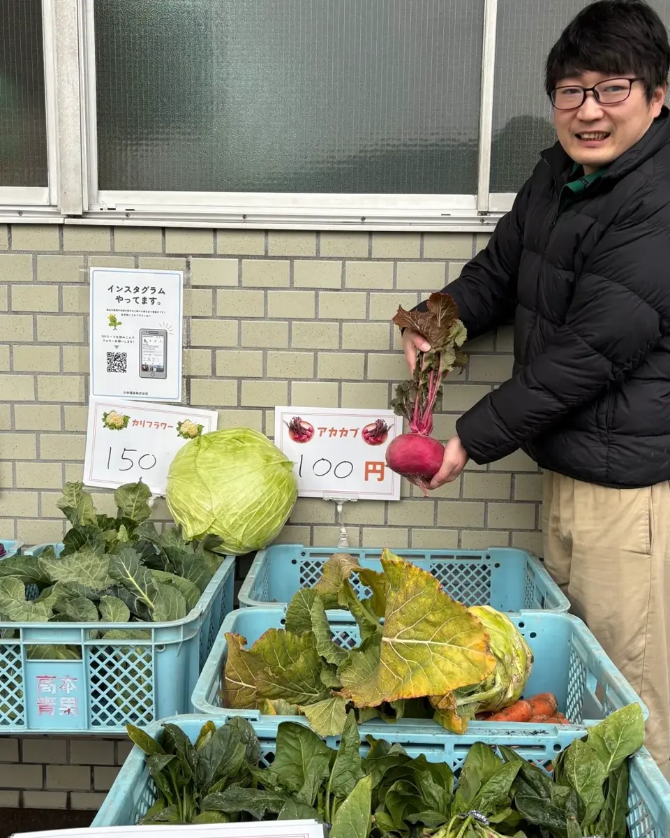 小林種苗 カブ種子 赤茎あかくら ＊種子有効期限2027年5月末 | 小林