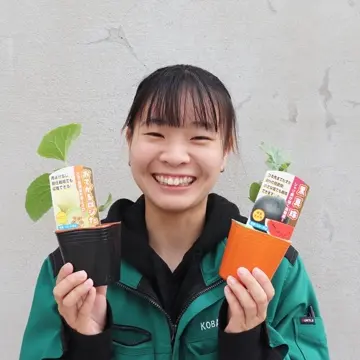 激レア　熱帯果樹　レンブ：台湾の品種（黒真珠・幸水）セット 熱帯果樹レンブ（品種：黒真珠・飛弾）2株セット - メルカリ